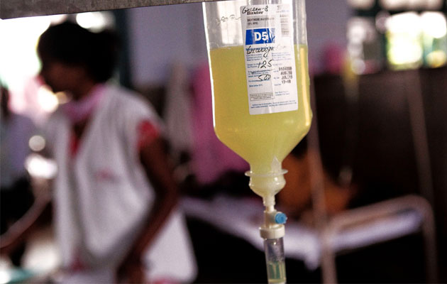Leishmaniasis - kala azar - er en parastisygdom, som overføres af sandfluer.