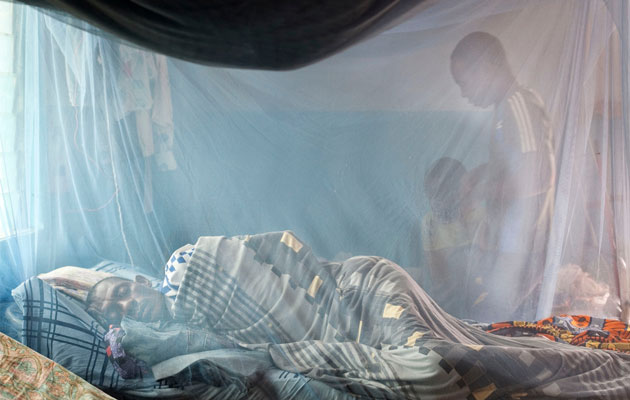 Læger uden Grænser hjælper med behandling og forebyggelse af malaria i en lang række af verdens lande