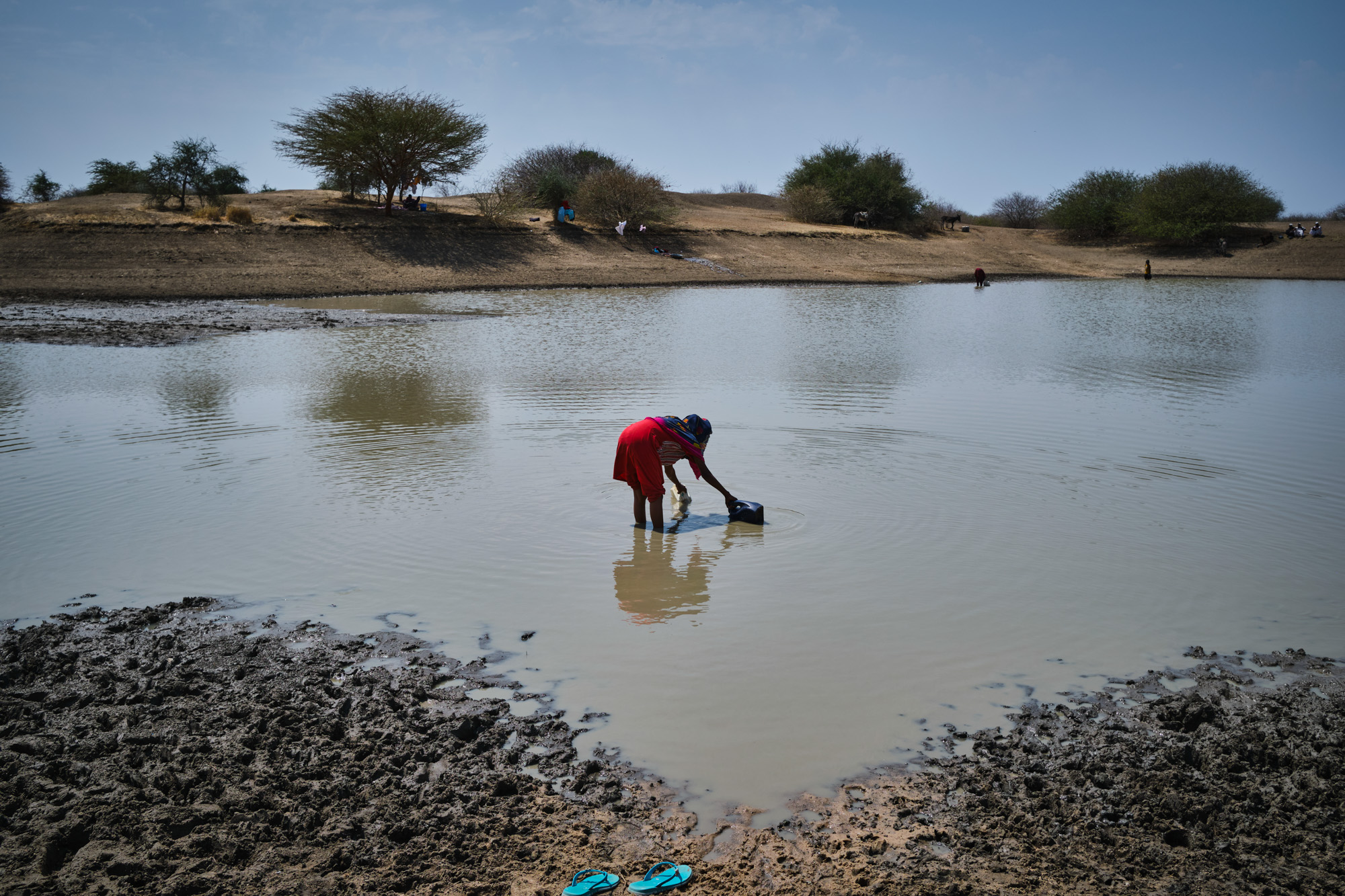 A woman collects water from a reservoir in Jerbana - South Sudan