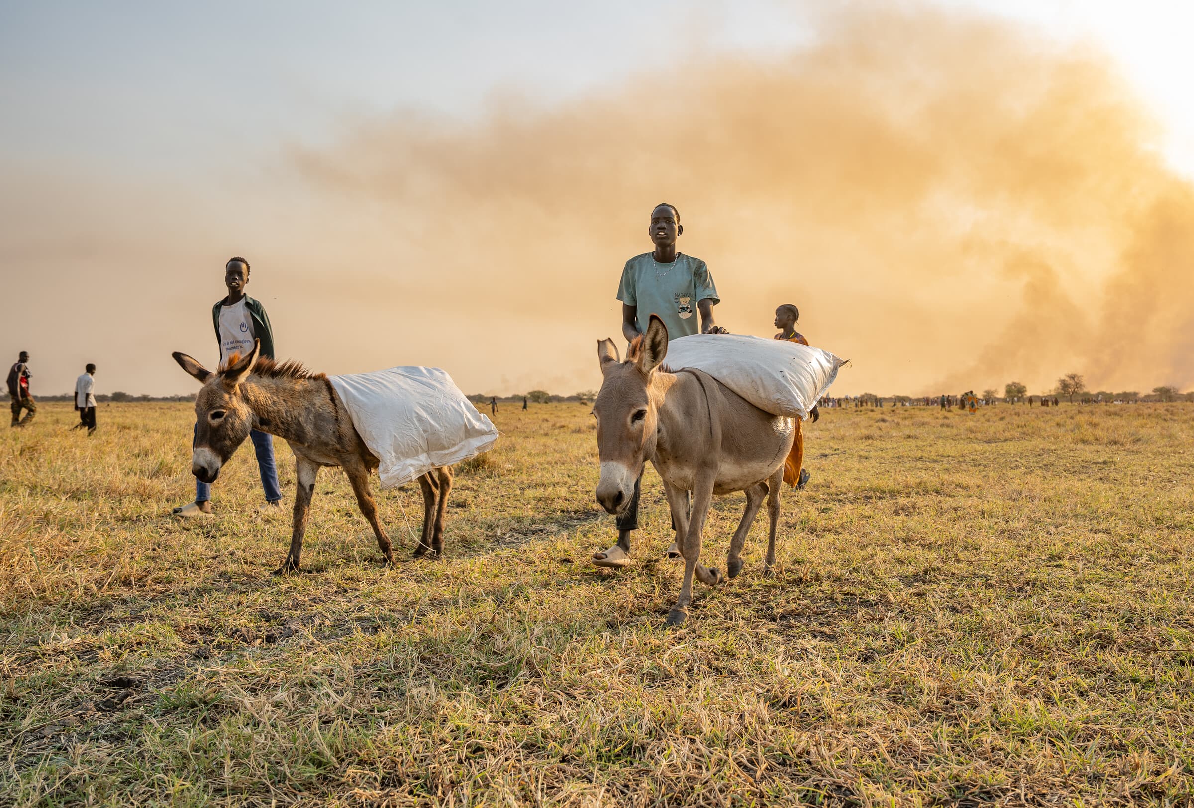 Marts. Sydsudan. Chuol og hans bror bruger æsler til at transportere de sække med mad, som er blevet kastet ud fra et fly i Chuil i Jonglei-delstaten. Da volden eskalerede, udløste det en bølge af fordrevne, som flygtede fra kampene og søgte sikkerhed i og omkring Chuil. 